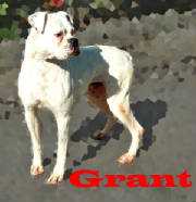 grant.jpg
