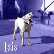 isis.jpg