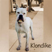 klondike.jpg