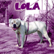 lola.jpg